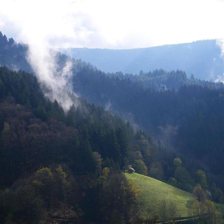 Buehlbauernhof Villa Bad Peterstal-Griesbach Exteriör bild