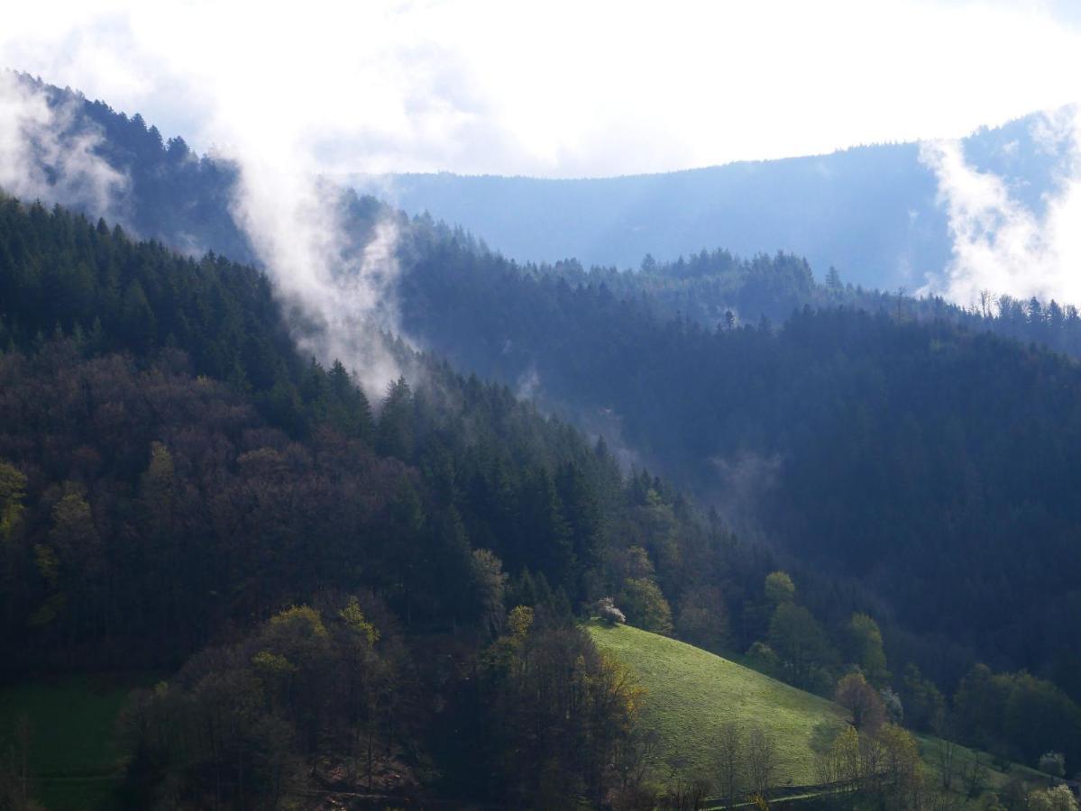 Buehlbauernhof Villa Bad Peterstal-Griesbach Exteriör bild